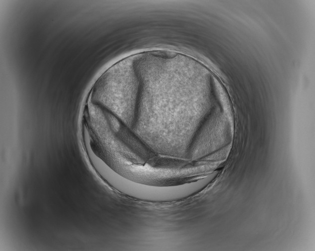 X0000096221536200802151512