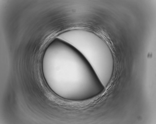 X0000096380001200801241014