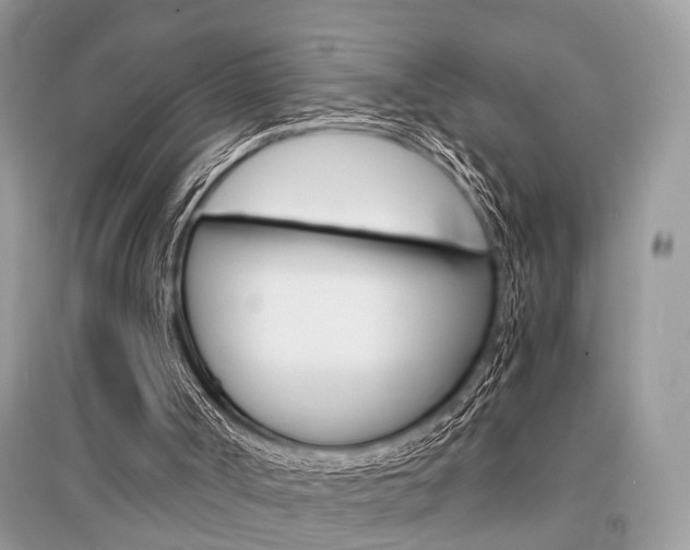 X0000096380002200801241014