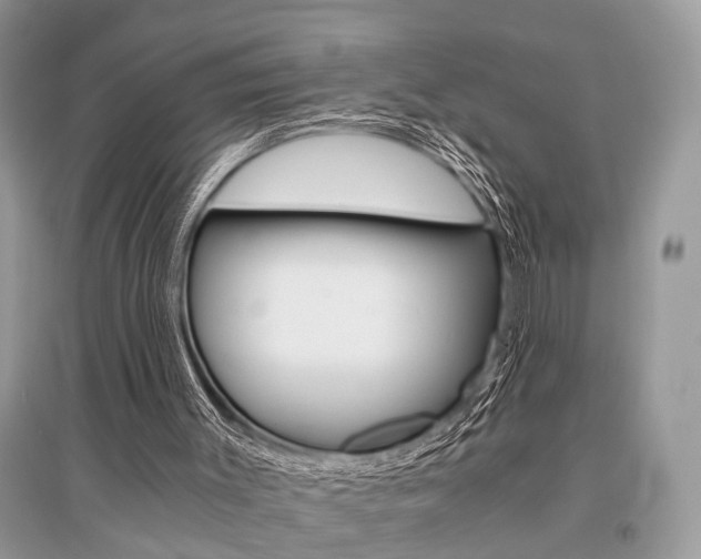 X0000096380003200801241014