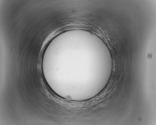 X0000096380004200801241014