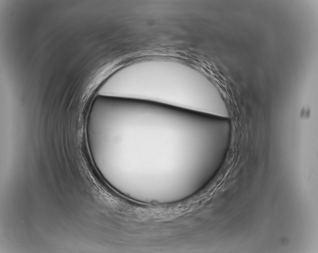 X0000096380005200801241014