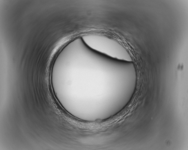 X0000096380006200801241014