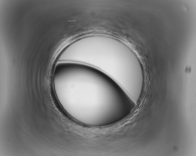 X0000096380007200801241014