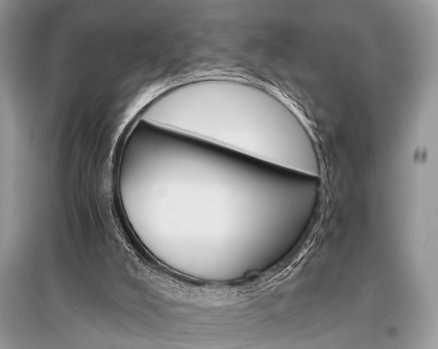 X0000096380008200801241014