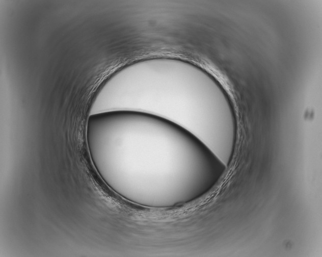 X0000096380009200801241014