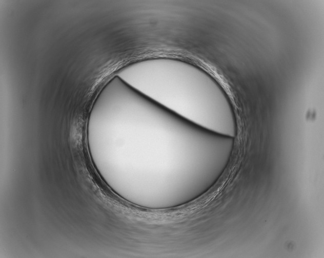 X0000096380010200801241014