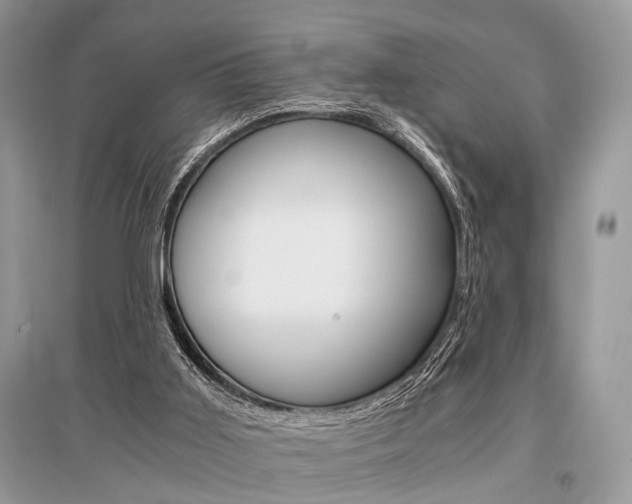 X0000096380011200801241014