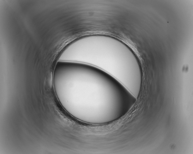X0000096380013200801241014