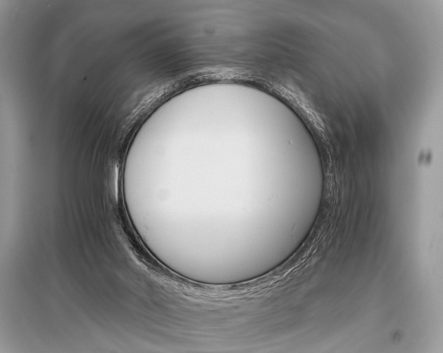 X0000096380014200801241014