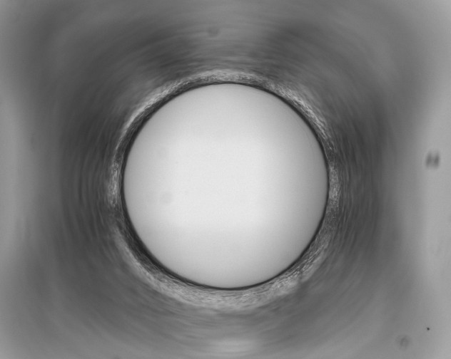 X0000096380016200801241014