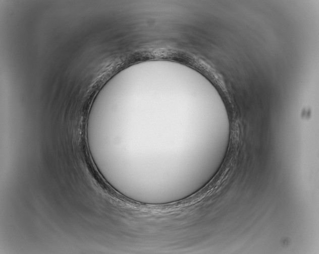 X0000096380018200801241014