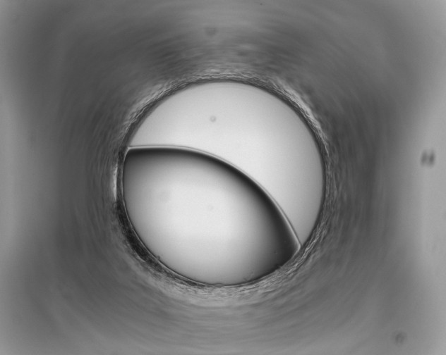 X0000096380019200801241014