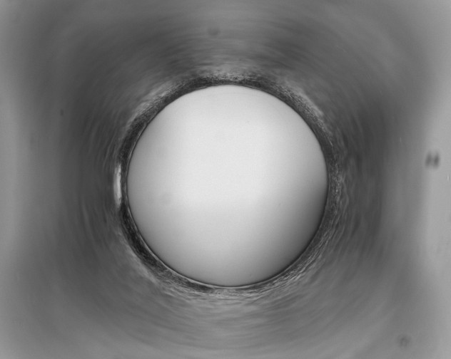 X0000096380020200801241014
