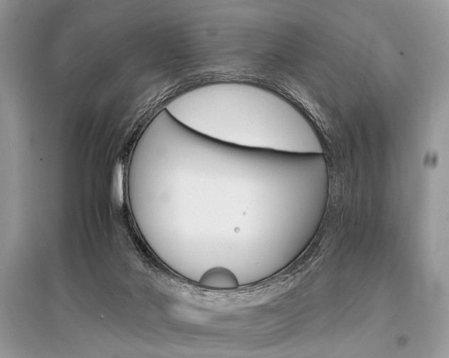 X0000096380022200801241014