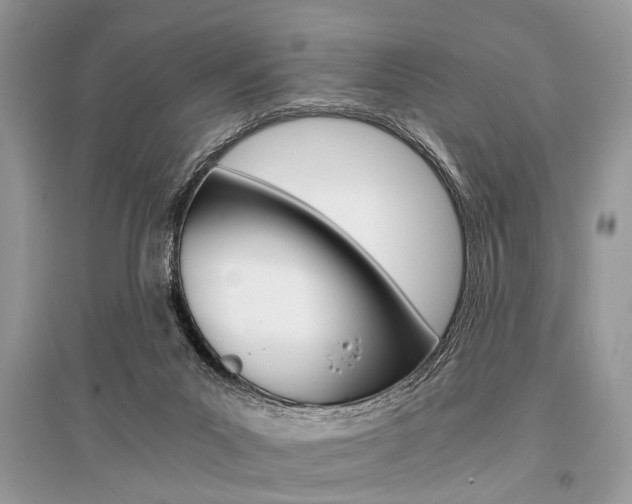X0000096380023200801241014