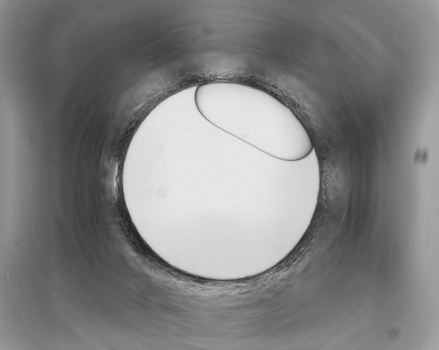 X0000096380024200801241014