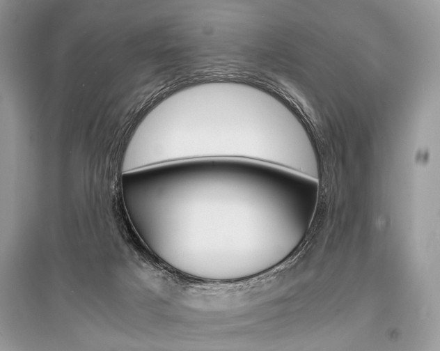 X0000096380025200801241014