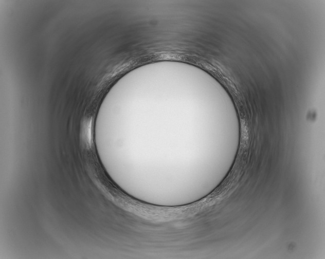 X0000096380028200801241014