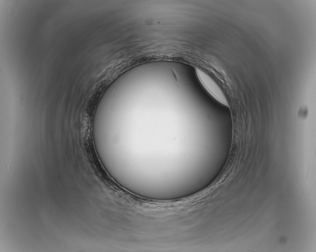 X0000096380029200801241014
