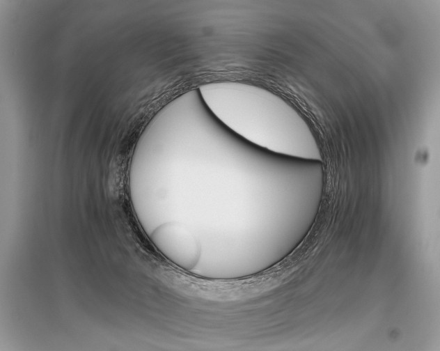 X0000096380030200801241014