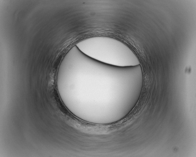 X0000096380032200801241014