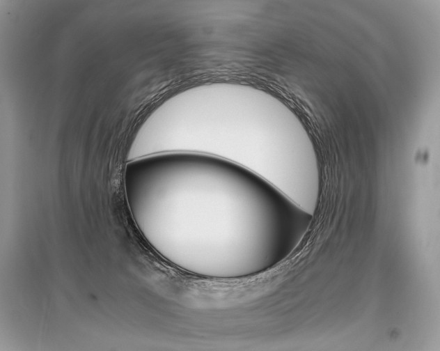 X0000096380033200801241014