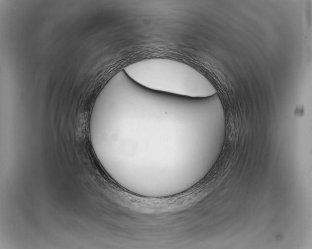 X0000096380034200801241014