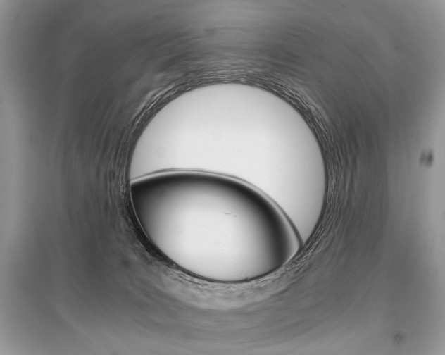 X0000096380035200801241014