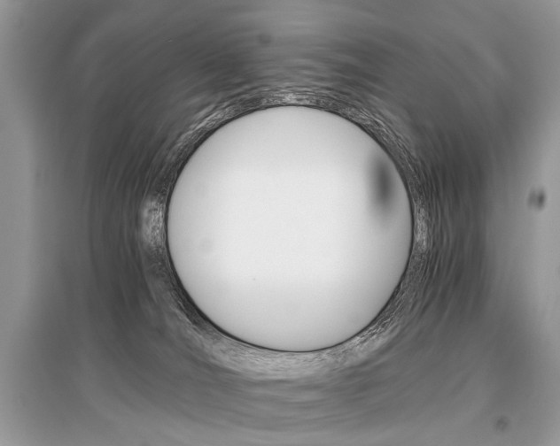 X0000096380036200801241014