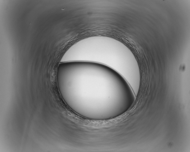 X0000096380037200801241014