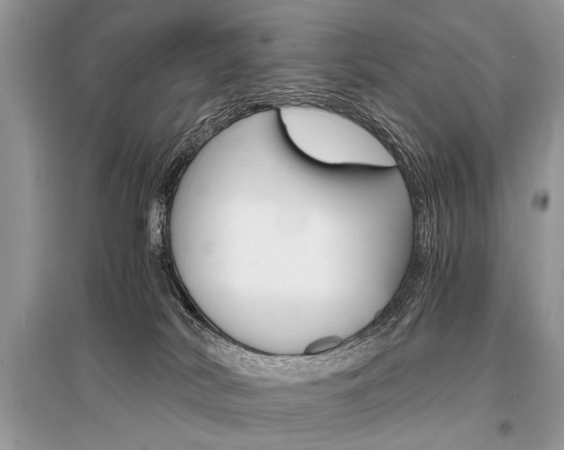 X0000096380038200801241014