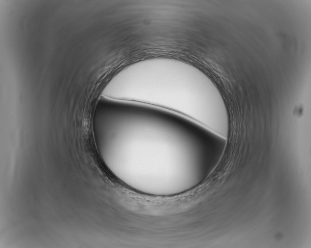 X0000096380039200801241014