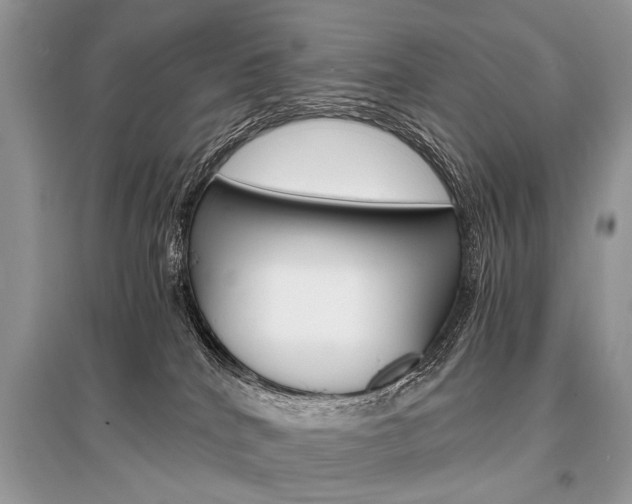 X0000096380040200801241014