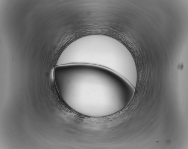 X0000096380041200801241014