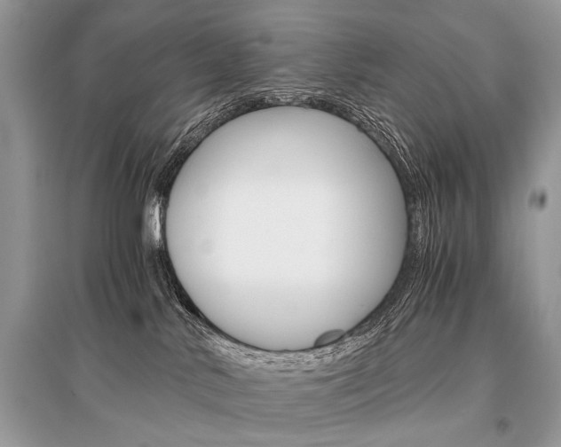 X0000096380042200801241014