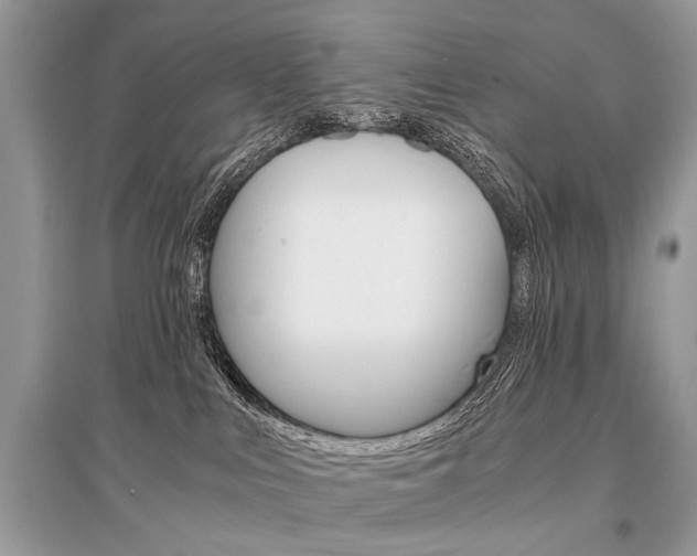 X0000096380043200801241014