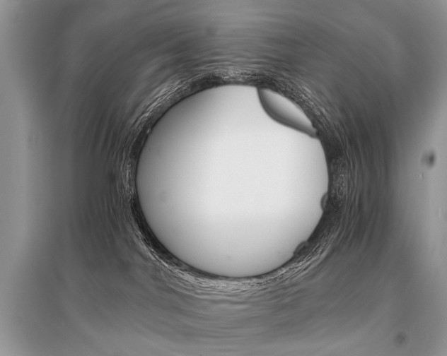 X0000096380044200801241014