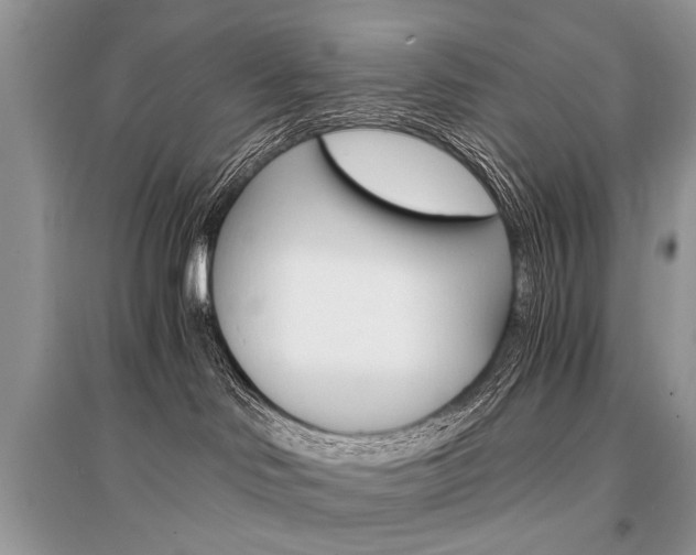X0000096380046200801241014
