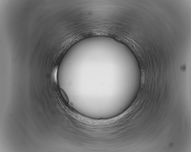 X0000096380047200801241014