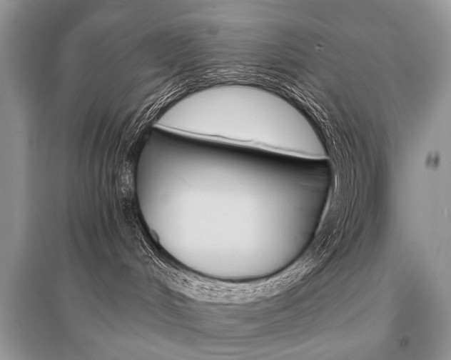 X0000096380048200801241014