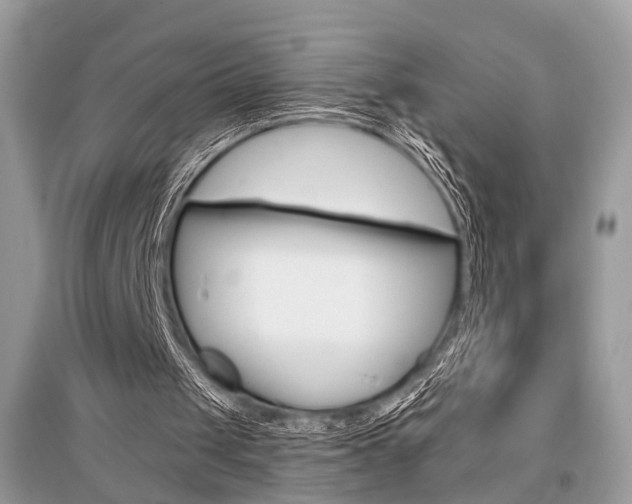X0000096380049200801241013