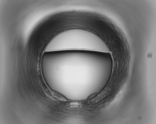 X0000096380050200801241013