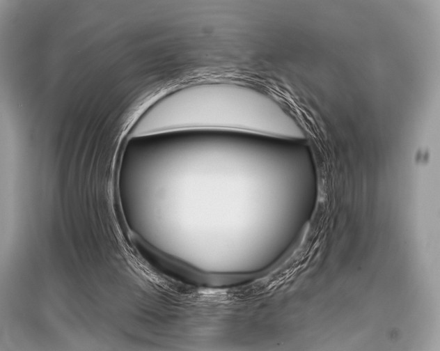 X0000096380052200801241013