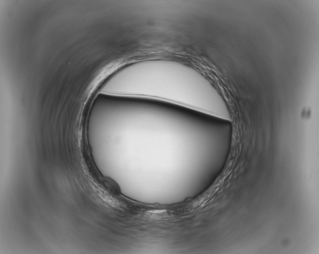 X0000096380054200801241013