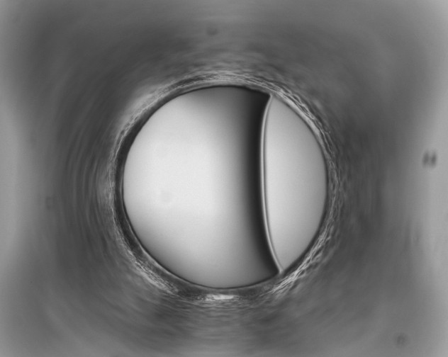 X0000096380055200801241013