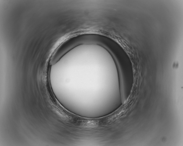 X0000096380056200801241013