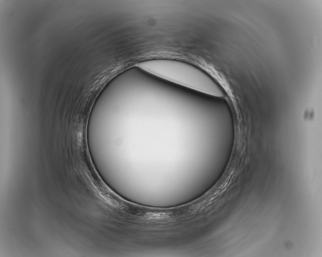 X0000096380057200801241013