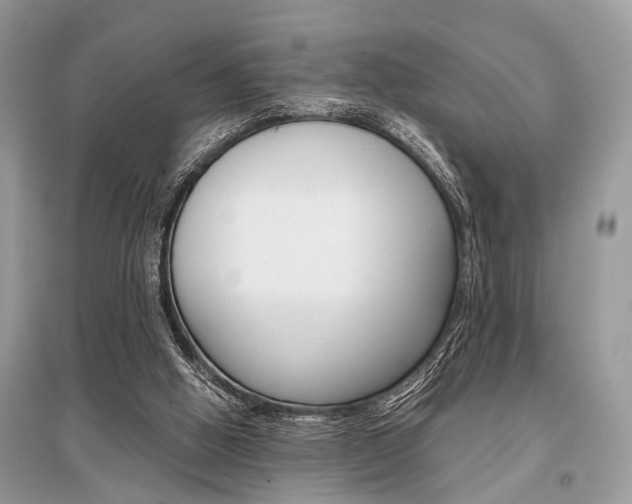 X0000096380058200801241013