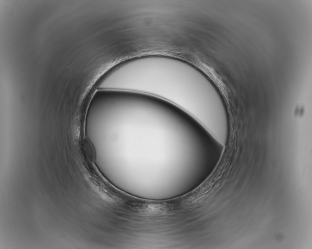 X0000096380060200801241013